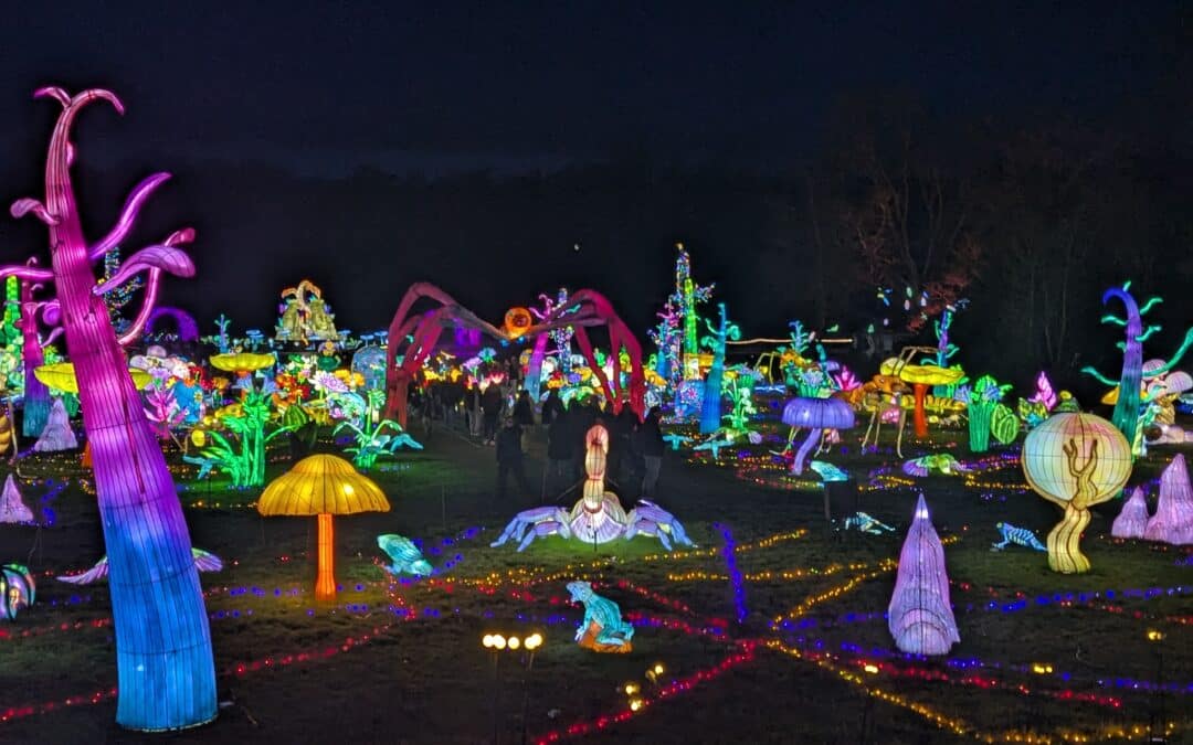 DERNIÈRE CHANCE ! J-15 avant notre fermeture : Nuit Magique à Thoiry, Bal des Esprits et Séjour Cocooning aux Cabanes d&rsquo;Isa