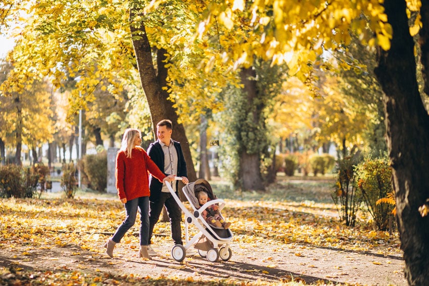Une jeune famille avec une poussette se promène sous les arbres aux feuilles d'or en octobre, idée de randonnée en forêt de Rambouillet près des Cabanes d'Isa.